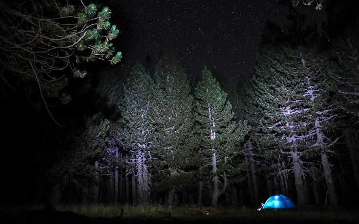 ΠΙΝΔΟΣ ΠΙΝΔΟΣ