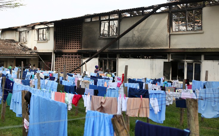 AP_17245536836546 AP_17245536836546