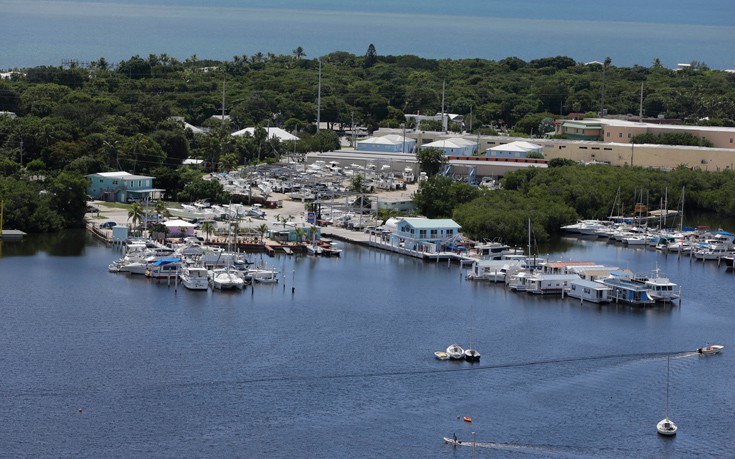 AP_17250035755171 AP_17250035755171