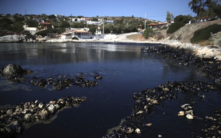 Έκτακτη οικονομική ενίσχυση στους ψαράδες που έπληξε η πετρελαιοκηλίδα