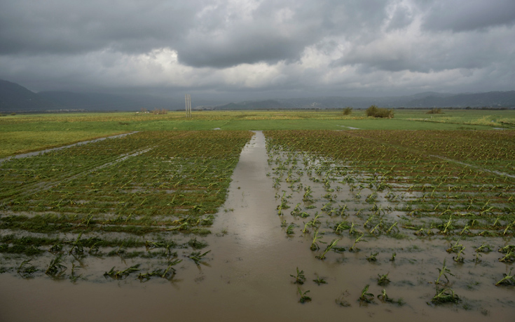 ΤΥΦΩΝΑΣ ΜΑΡΙΑ ΠΟΥΕΡΤΟ ΡΙΚΟ