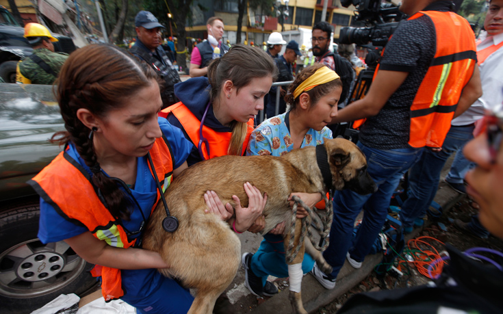 ΜΕΞΙΚΟ ΣΕΙΣΜΟΣ ΜΕΞΙΚΟ ΣΕΙΣΜΟΣ