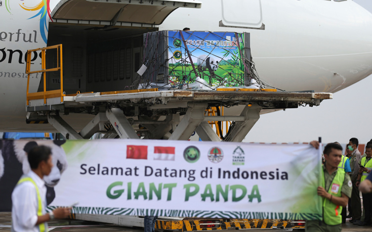 AP_17271204750775 AP_17271204750775