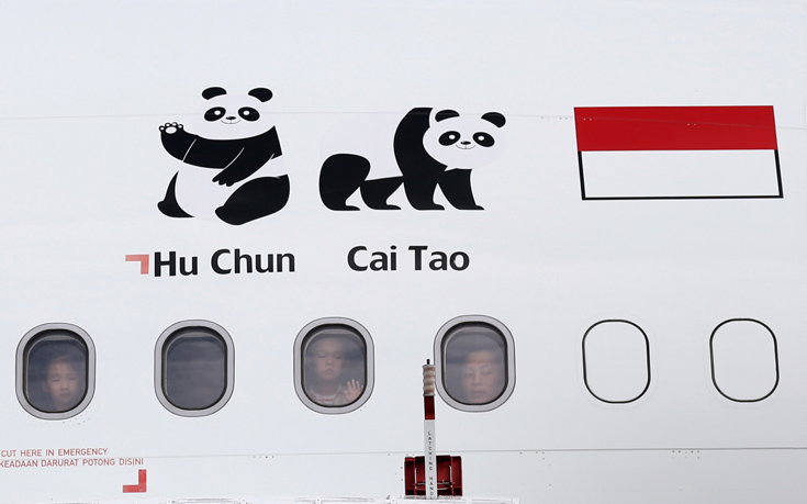 AP_17271206460761 AP_17271206460761