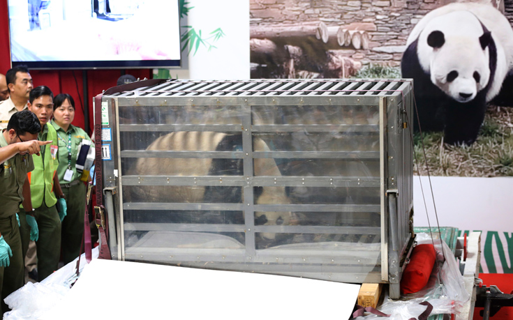 AP_17271216197600 AP_17271216197600