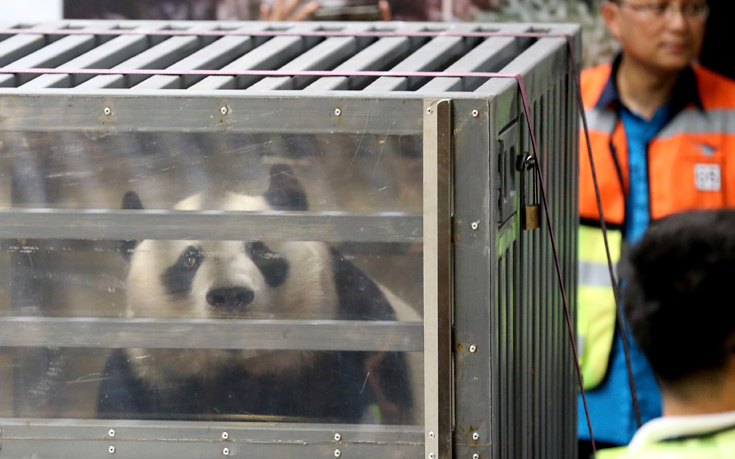 AP_17271217907343 AP_17271217907343