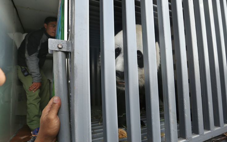 AP_17271252398053 AP_17271252398053