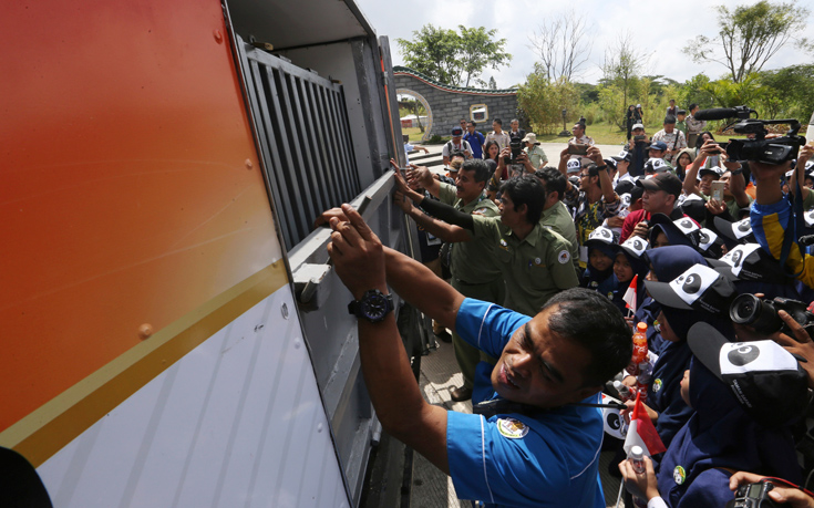 AP_17271253318908 AP_17271253318908