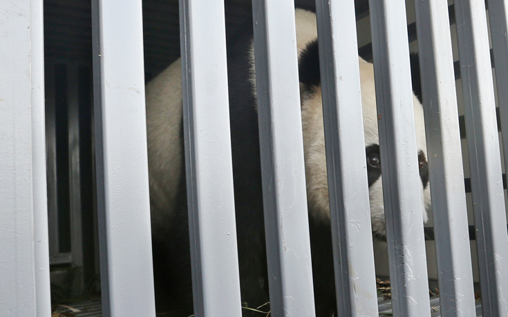 AP_17271263639247 AP_17271263639247