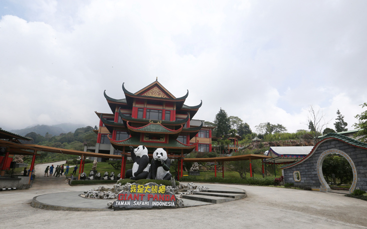 AP_17271274358210 AP_17271274358210