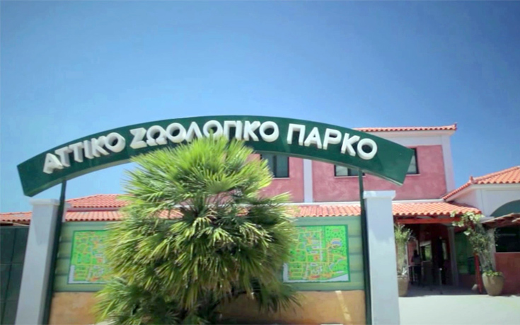 atticapark8 atticapark8