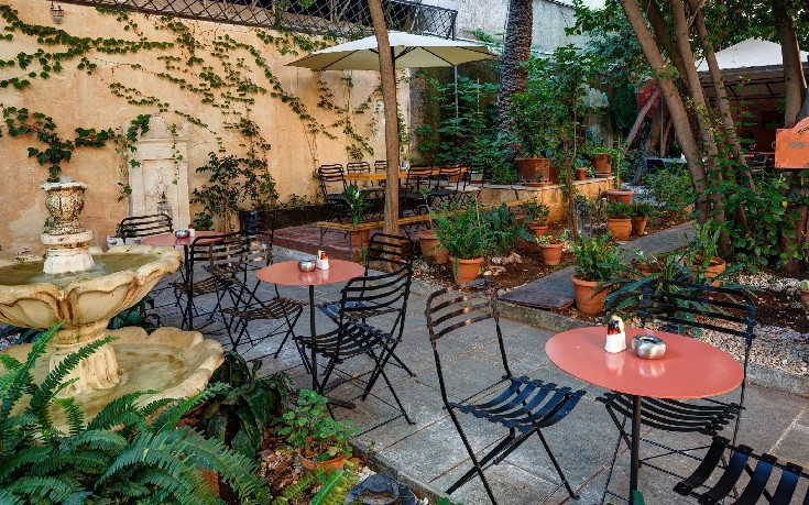 black_duck black_duck