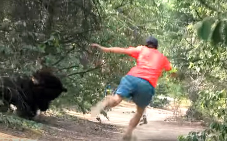 Ο Ρεμί «ξαναχτυπά» σαν αρκούδα