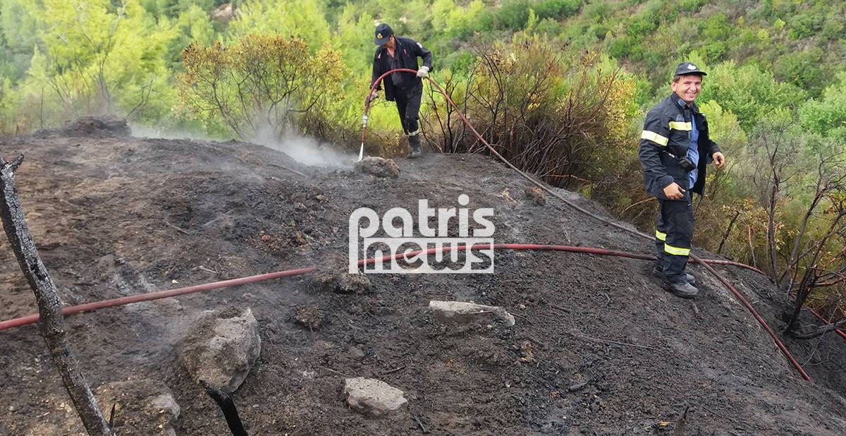 Νέα πυρκαγιά στο Γεράκι Αμαλιάδας