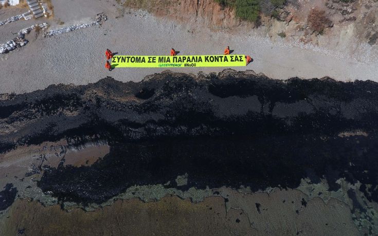 greenpeace greenpeace