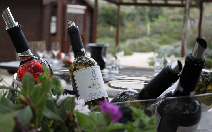 grg-gentilini1 grg-gentilini1