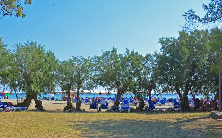 «Thalassea», η πιο δημοφιλής παραλία σας περιμένει καθαρή και φιλόξενη