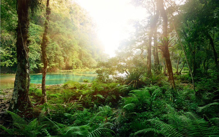 ΓΟΥΑΤΕΜΑΛΑ ΓΟΥΑΤΕΜΑΛΑ