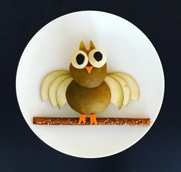 platedzoo10 platedzoo10