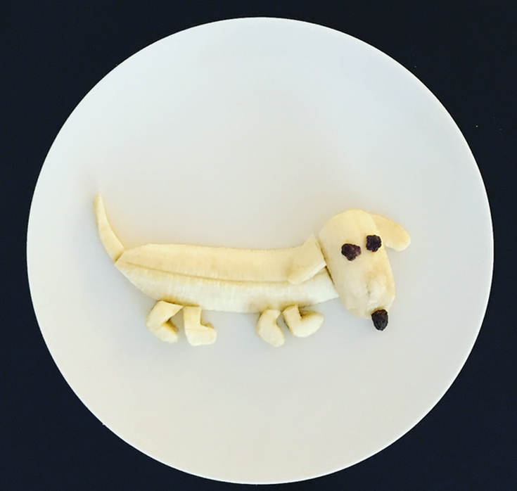 platedzoo2 platedzoo2