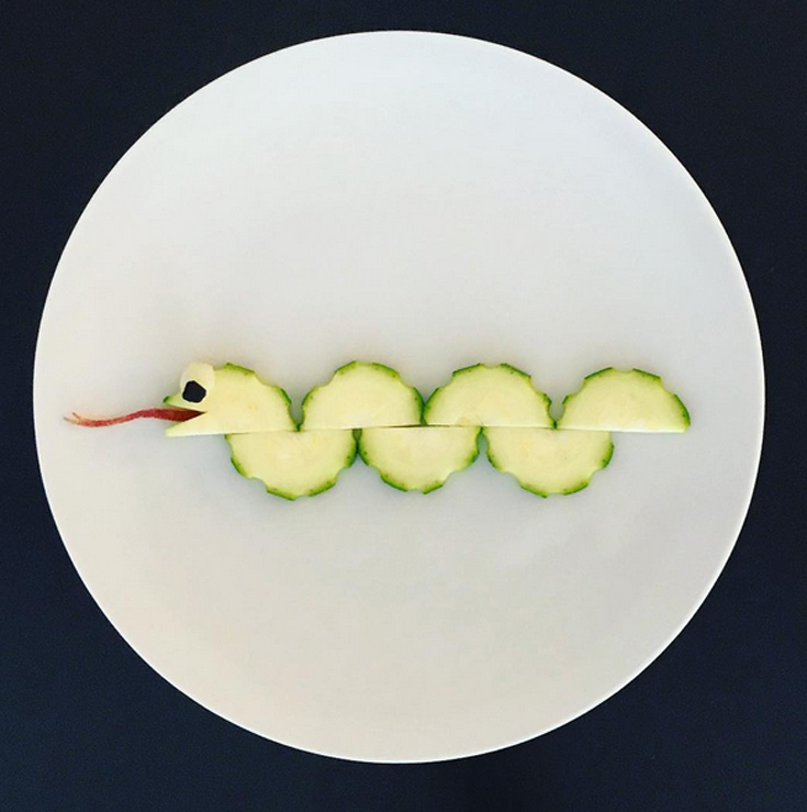 platedzoo5 platedzoo5