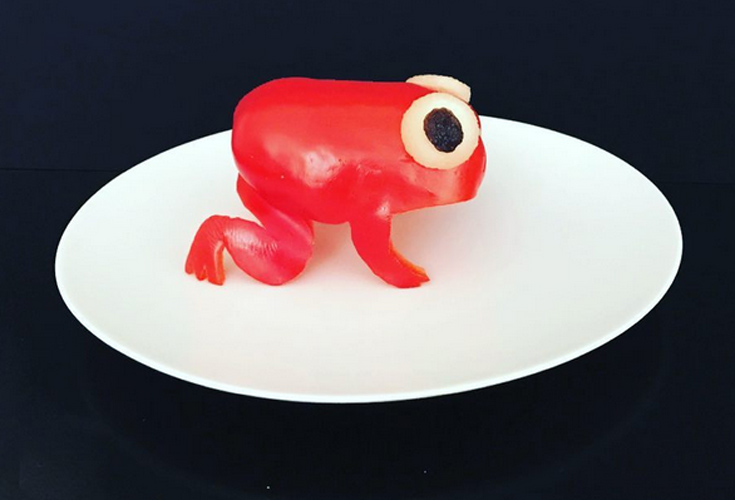 platedzoo8 platedzoo8