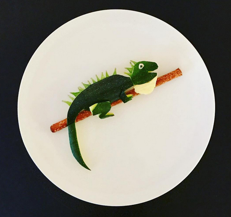 platedzoo9 platedzoo9