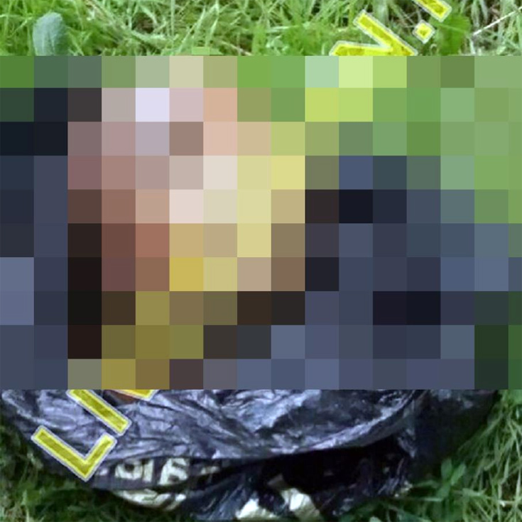 sgshsiuefg3 sgshsiuefg3