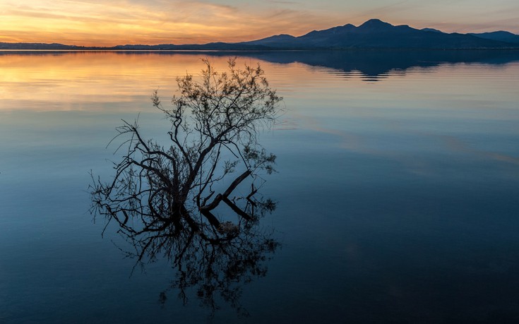 ΑΜΒΡΑΚΙΚΟΣ ΑΜΒΡΑΚΙΚΟΣ