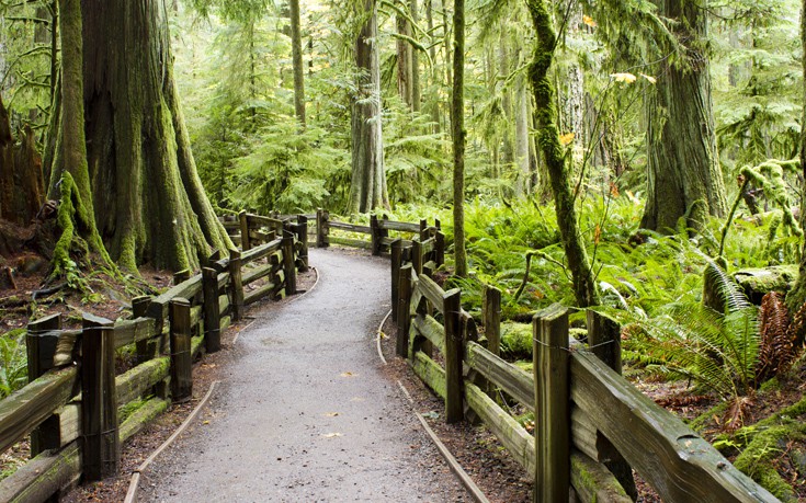 ΒΑΝΚΟΥΒΕΡ ΒΑΝΚΟΥΒΕΡ