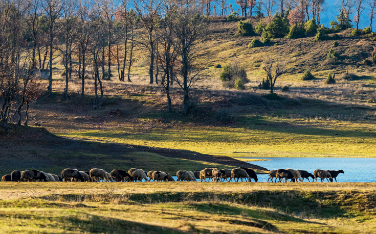 ΛΙΜΝΗ ΠΛΑΣΤΗΡΑ ΛΙΜΝΗ ΠΛΑΣΤΗΡΑ