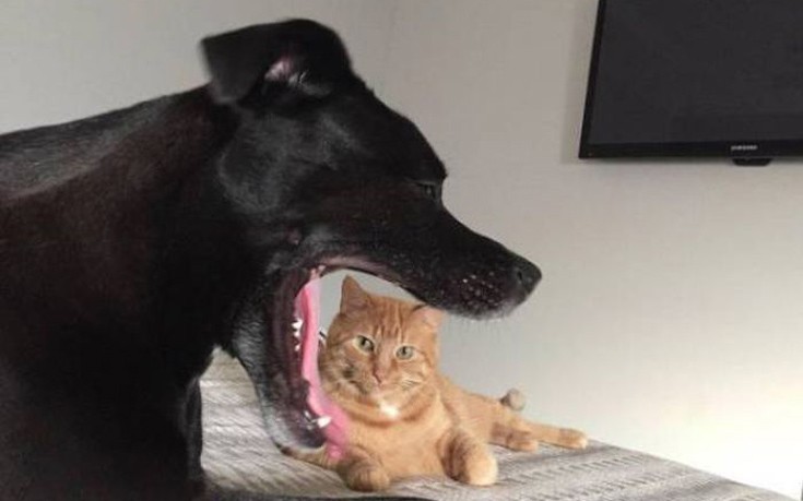 Δε θα μπορούσαν να έχουν πατήσει το κλικ σε καλύτερη στιγμή