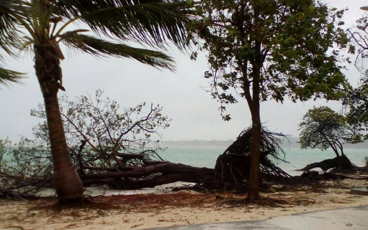 ΚΥΚΛΩΝΑΣ ΜΑΡΙΑ ΚΥΚΛΩΝΑΣ ΜΑΡΙΑ