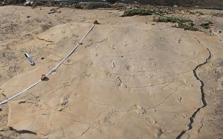 Έκλεψαν τις απολιθωμένες πατημασιές ηλικίας 5,7 εκατ. χρόνων στην Κίσσαμο