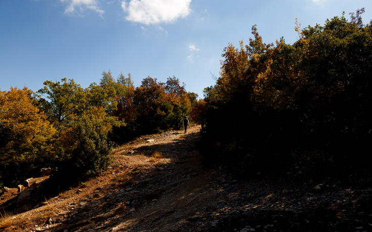 ΧΟΡΤΙΑΤΗΣ ΧΟΡΤΙΑΤΗΣ