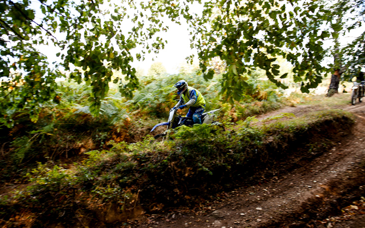 ΧΟΡΤΙΑΤΗΣ ΧΟΡΤΙΑΤΗΣ