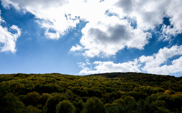 ΧΟΡΤΙΑΤΗΣ ΧΟΡΤΙΑΤΗΣ