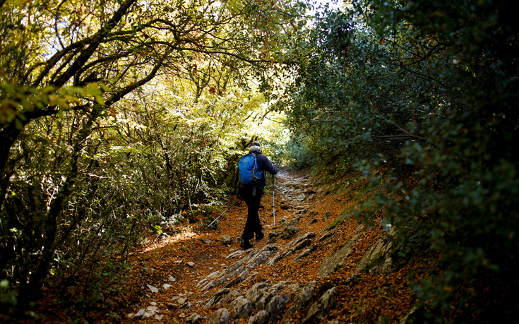 ΧΟΡΤΙΑΤΗΣ ΧΟΡΤΙΑΤΗΣ