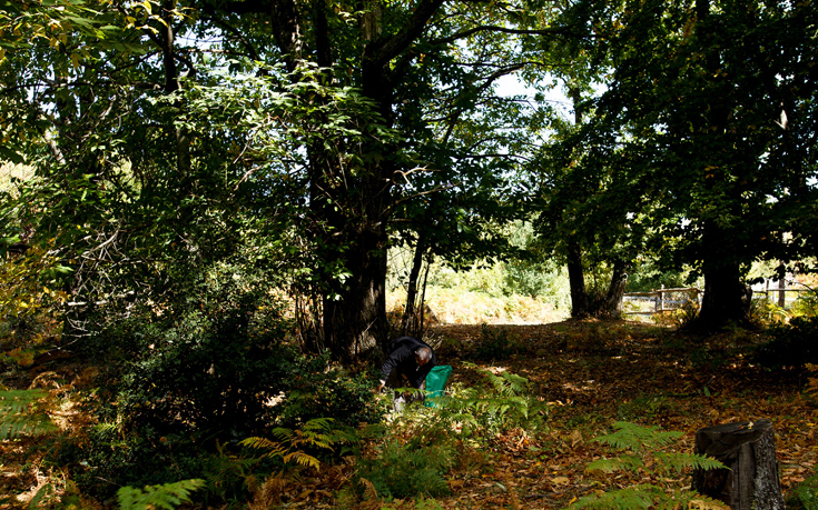 ΧΟΡΤΙΑΤΗΣ ΧΟΡΤΙΑΤΗΣ