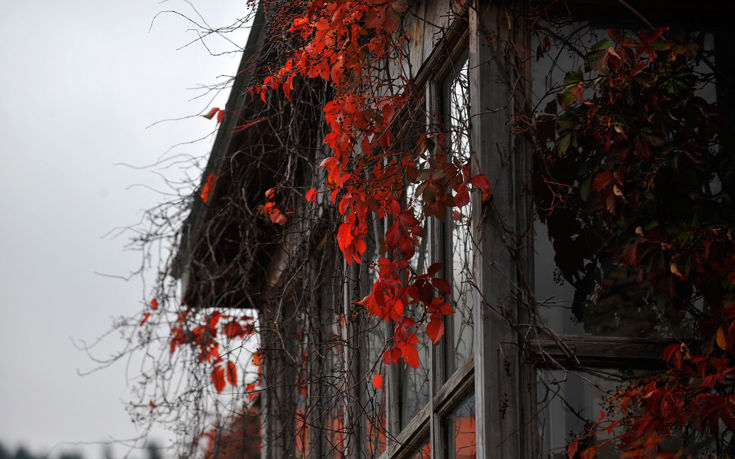 ΝΕΡΑΪΔΟΧΩΡΙ ΤΡΙΚΑΛΑ ΝΕΡΑΪΔΟΧΩΡΙ ΤΡΙΚΑΛΑ