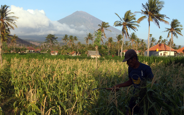 AP_17282004107411 AP_17282004107411