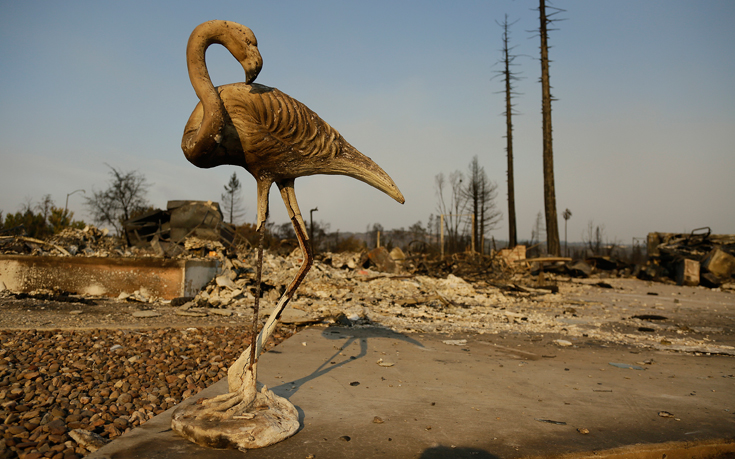 ΚΑΛΙΦΟΡΝΙΑ ΦΩΤΙΑ ΚΑΛΙΦΟΡΝΙΑ ΦΩΤΙΑ