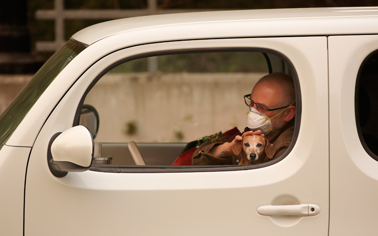 ΚΑΛΙΦΟΡΝΙΑ ΦΩΤΙΑ ΚΑΛΙΦΟΡΝΙΑ ΦΩΤΙΑ