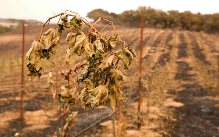ΚΑΛΙΦΟΡΝΙΑ ΦΩΤΙΑ