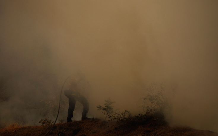 ΚΑΛΙΦΟΡΝΙΑ ΦΩΤΙΑ