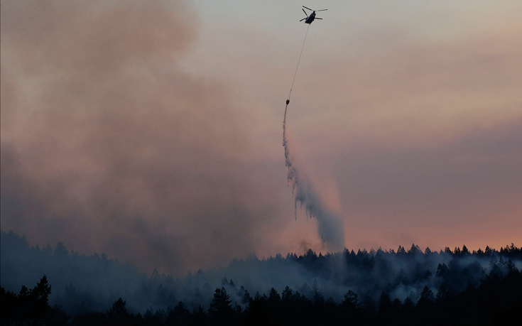 ΚΑΛΙΦΟΡΝΙΑ ΦΩΤΙΑ