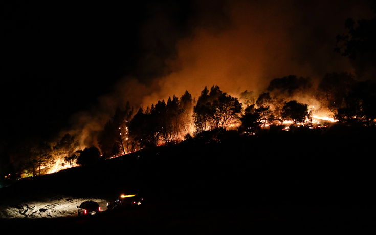 ΚΑΛΙΦΟΡΝΙΑ ΦΩΤΙΑ
