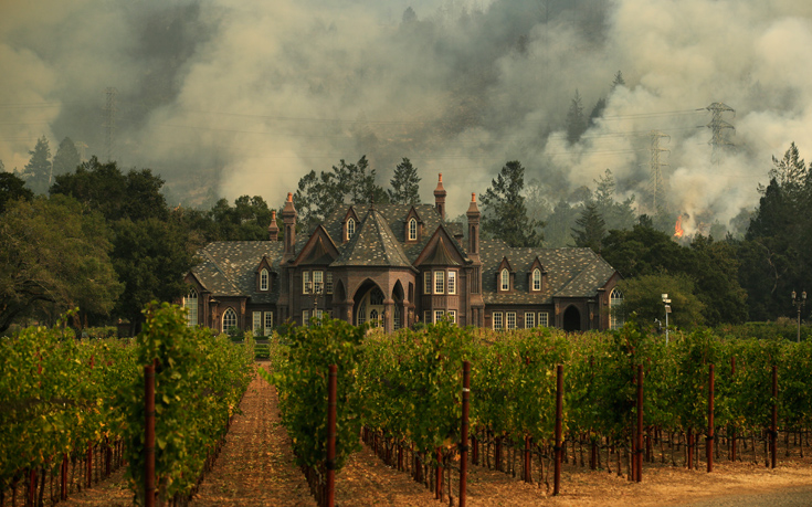 AP_17287661267794 AP_17287661267794