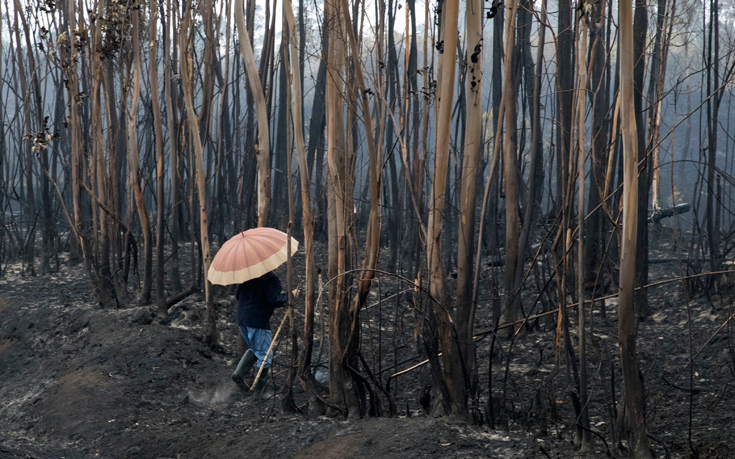 AP_17289631854087 AP_17289631854087