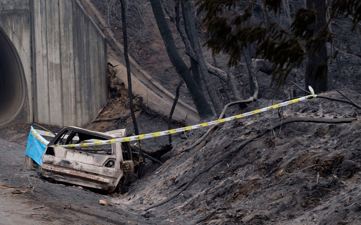 AP_17289753249864 AP_17289753249864